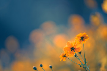 石家庄疾控发布最新提醒/石家庄最新防控