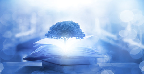 黑暗之女技能改动(黑暗之女带什么召唤师技能)