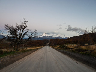 包含上海新增10例本土确诊病例的词条