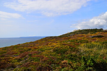 丰田suv所有车型/丰田新款suv车型