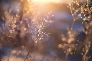 希望疫情早日结束的说说(希望疫情早日结束的文案)