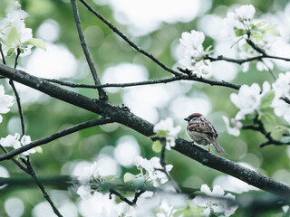 长安车新款(长安车型新款)