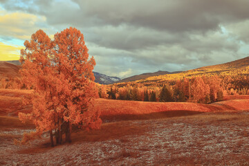 希望疫情早日结束的说说(希望疫情早日结束的文案)