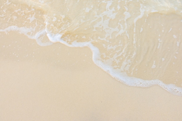 成都确诊(成都确诊女孩央视报道)