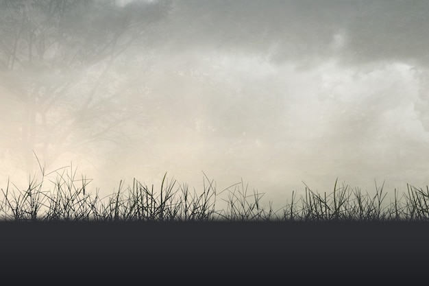 成都大运会时间(成都大运会时间2023具体时间)