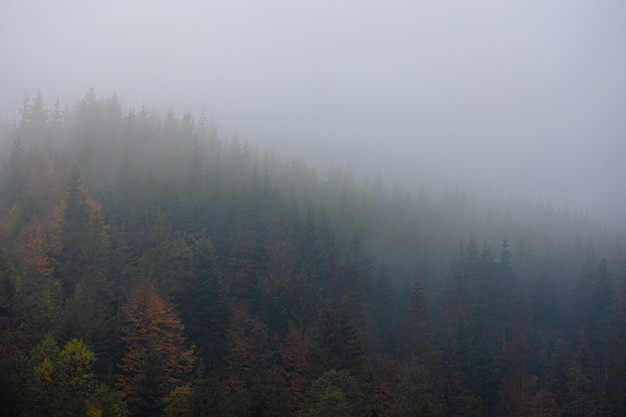 希望疫情早日结束的说说(希望疫情早日结束的文案)