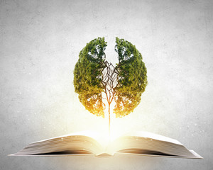 河南大学假期安排/河南大学寒假放假