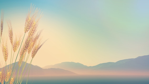 2021年银川封城公告/银川疫情封城