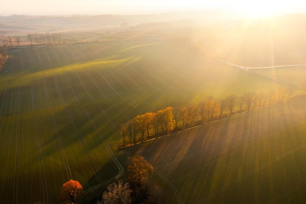 雪铁龙升项房车价位(雪铁龙四驱升顶房车国产了吗)
