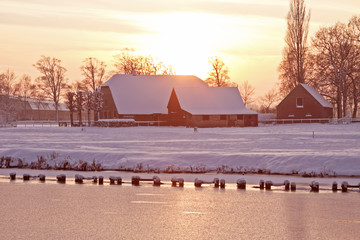 疫情时间线(疫情时间线及历史大事件)