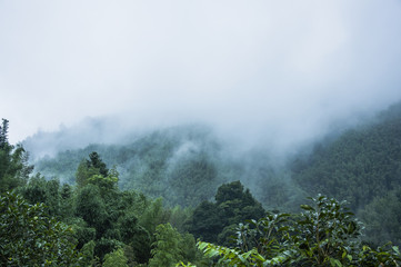 雪铁龙升项房车价位(雪铁龙四驱升顶房车国产了吗)